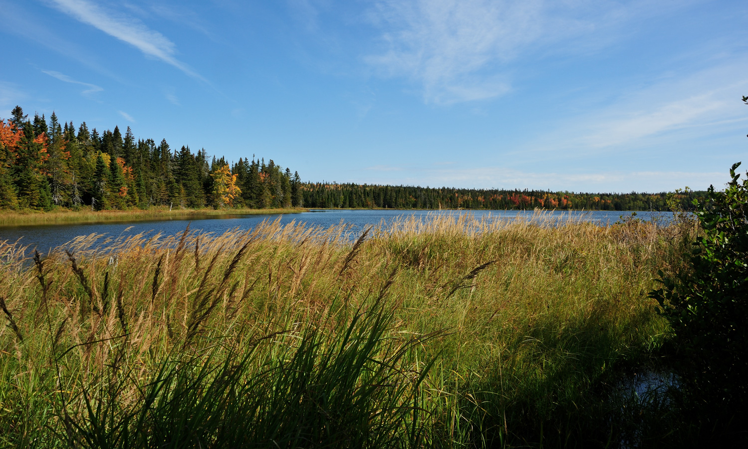 Parc National Forillon [28 mm, 1/160 sec at f / 14, ISO 200]